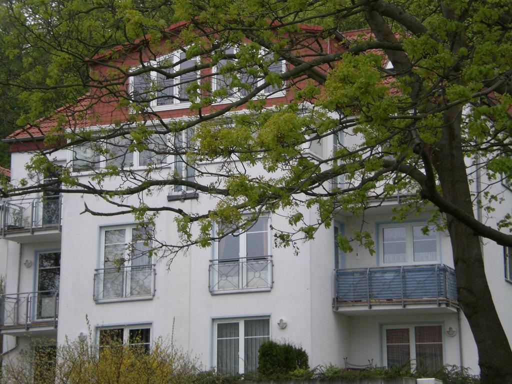 Ferienwohnung In Sassnitz Ruegen Naehe Weltnaturerbe Kreidekueste Eksteriør billede
