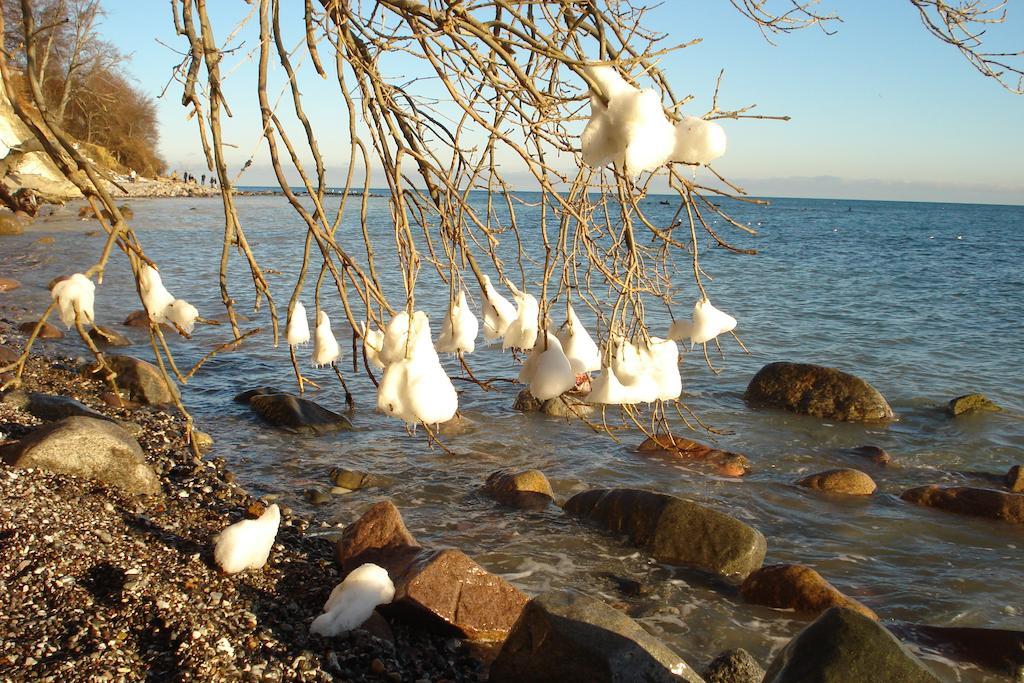 Ferienwohnung In Sassnitz Ruegen Naehe Weltnaturerbe Kreidekueste Eksteriør billede