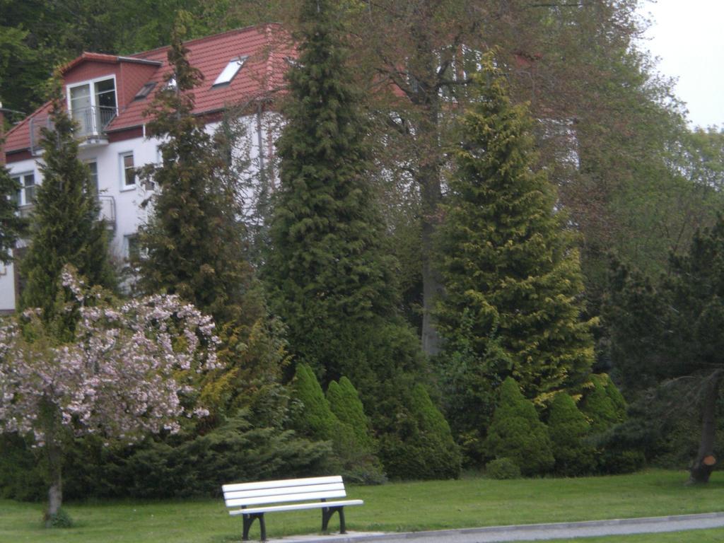 Ferienwohnung In Sassnitz Ruegen Naehe Weltnaturerbe Kreidekueste Eksteriør billede
