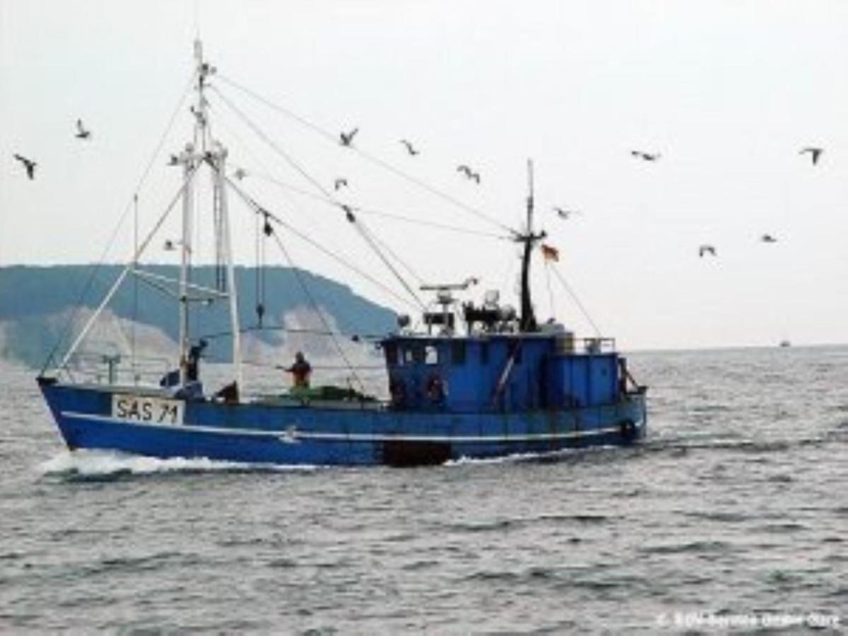 Ferienwohnung In Sassnitz Ruegen Naehe Weltnaturerbe Kreidekueste Eksteriør billede